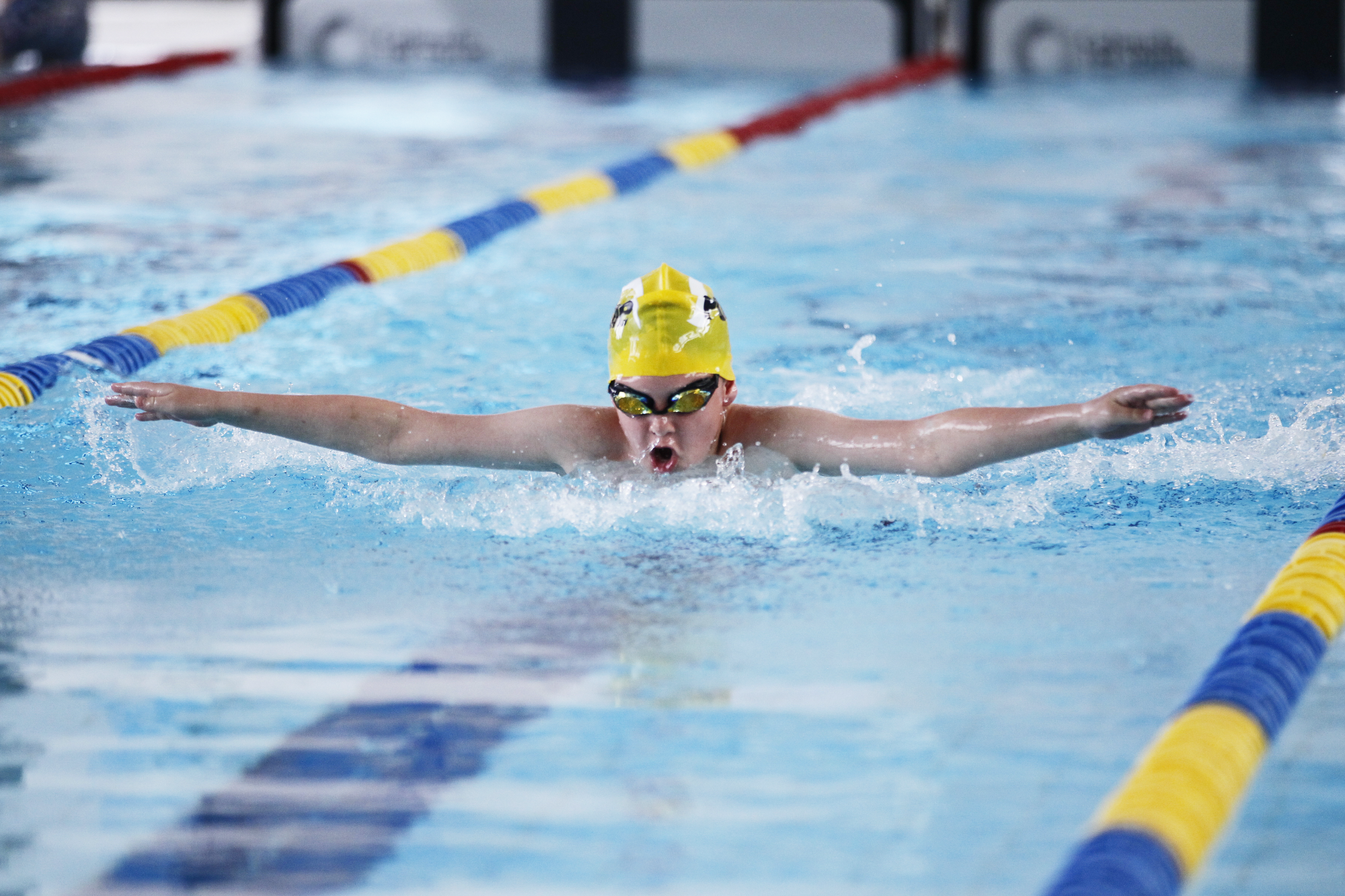 Poole Swimming Club photo picture